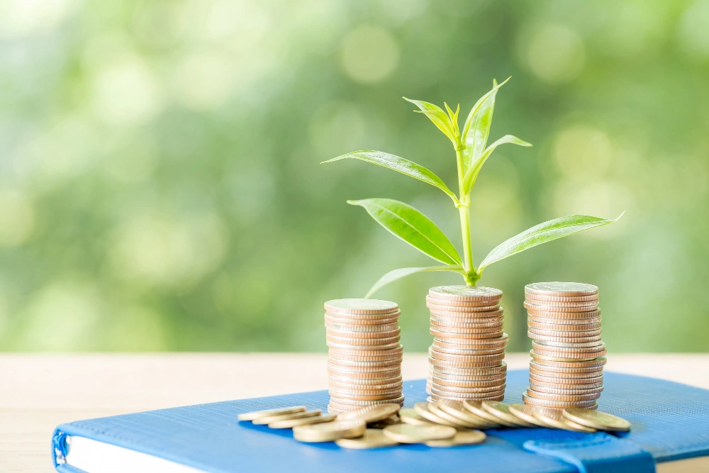 Fiat-to-Stablecoin Conversions